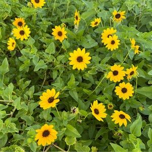 Meet your Posher, Nadia